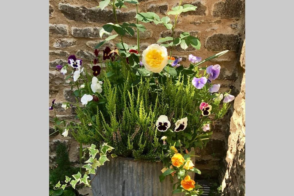Oxfordshire Living - The Bowler Hat Cottage - Woodstock Eksteriør bilde